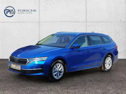 Annonce SKODA OCTAVIA Diesel 2024 d'occasion 