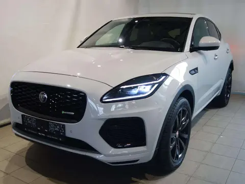 Used JAGUAR E-PACE Hybrid 2023 Ad 