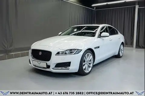 Used JAGUAR XF Diesel 2018 Ad 