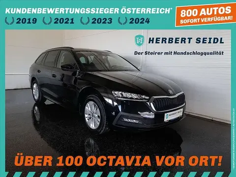 Used SKODA OCTAVIA Diesel 2021 Ad 