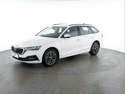 Annonce SKODA OCTAVIA Diesel 2020 d'occasion 