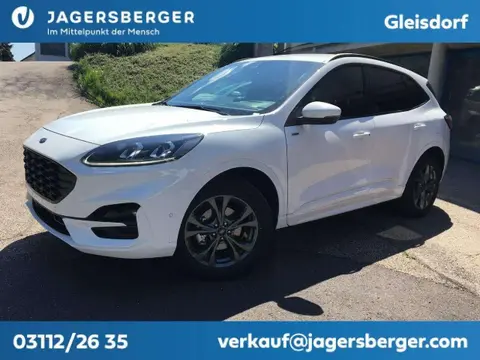 Used FORD KUGA Diesel 2024 Ad 