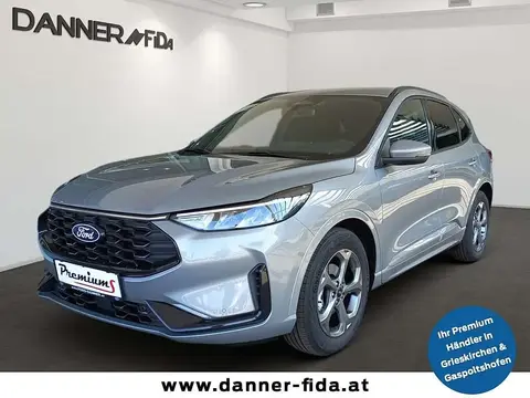 Annonce FORD KUGA Essence 2024 d'occasion 