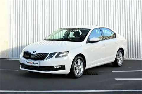 Annonce SKODA OCTAVIA Diesel 2020 d'occasion 