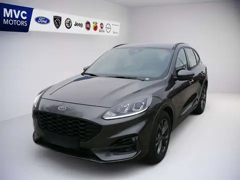 Annonce FORD KUGA Diesel 2023 d'occasion 