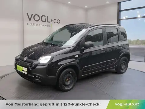 Annonce FIAT PANDA Essence 2021 d'occasion 