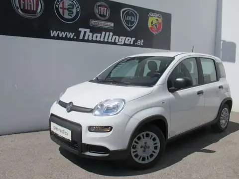 Annonce FIAT PANDA Essence 2024 d'occasion 