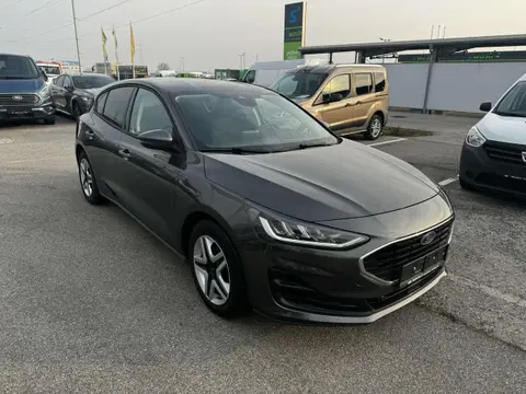 Annonce FORD FOCUS Diesel 2022 d'occasion 