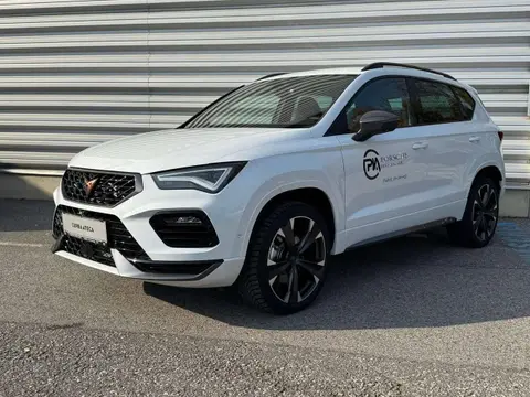 Used CUPRA ATECA Petrol 2024 Ad 