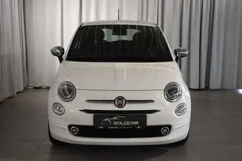 Used FIAT 500 Petrol 2023 Ad 