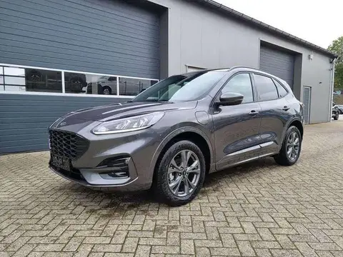 Annonce FORD KUGA Hybride 2024 d'occasion 