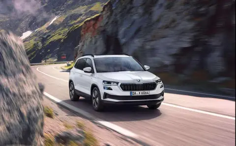 Annonce SKODA KAROQ Diesel 2024 d'occasion 