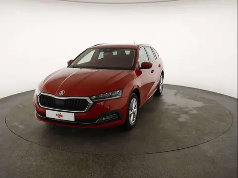 Annonce SKODA OCTAVIA Diesel 2020 d'occasion 