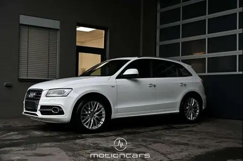 Annonce AUDI SQ5 Diesel 2015 d'occasion 