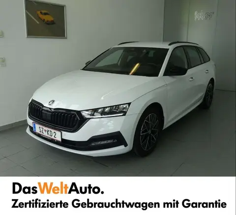 Annonce SKODA OCTAVIA Diesel 2024 d'occasion 