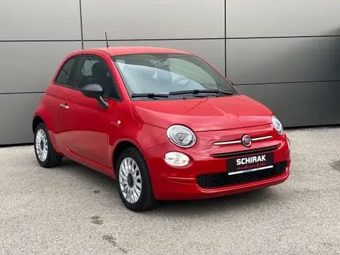 Used FIAT 500 Petrol 2023 Ad 