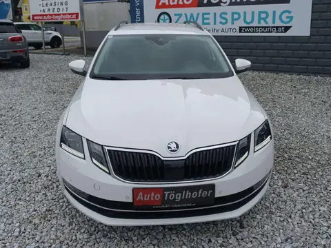 Used SKODA OCTAVIA Diesel 2019 Ad 