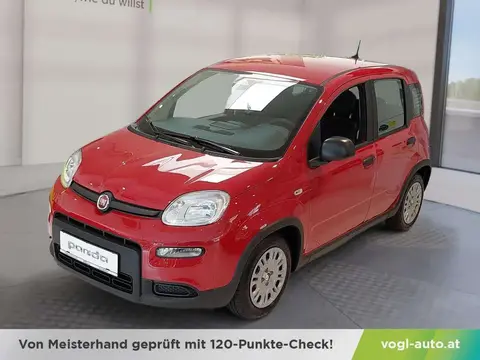 Used FIAT PANDA Petrol 2024 Ad 