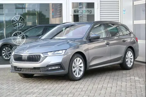 Annonce SKODA OCTAVIA Diesel 2024 d'occasion 