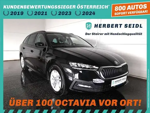 Annonce SKODA OCTAVIA Diesel 2021 d'occasion 