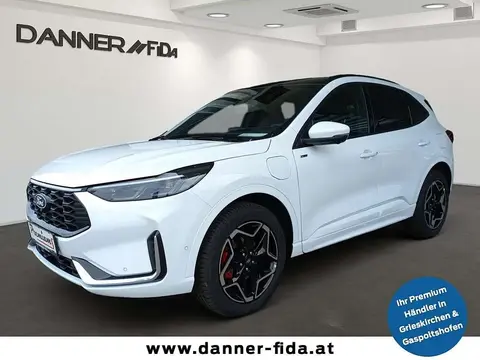 Annonce FORD KUGA Hybride 2024 d'occasion 