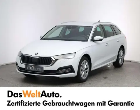 Annonce SKODA OCTAVIA Diesel 2024 d'occasion 