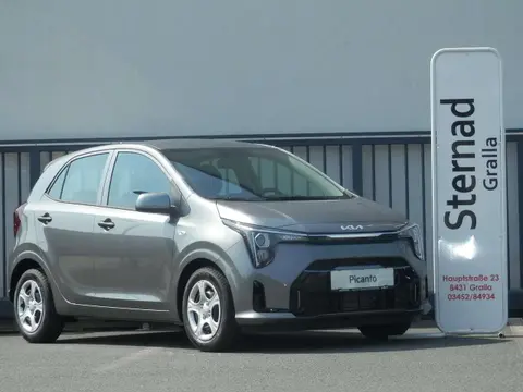 Used KIA PICANTO Petrol 2024 Ad 