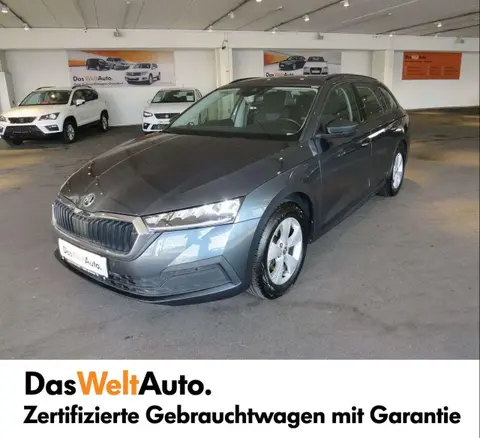 Used SKODA OCTAVIA Diesel 2021 Ad 