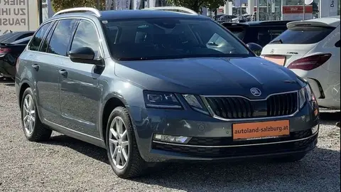 Annonce SKODA OCTAVIA Diesel 2019 d'occasion 