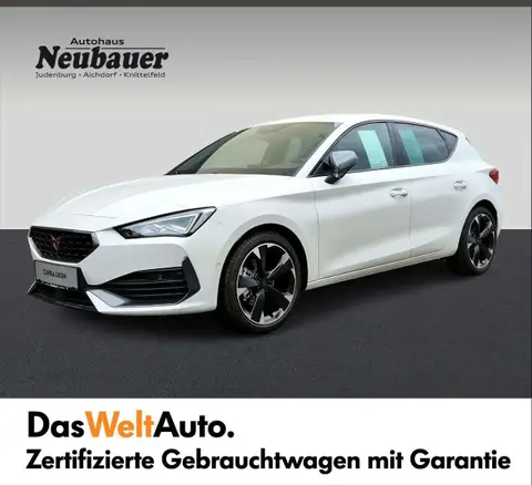 Used CUPRA LEON Petrol 2023 Ad 