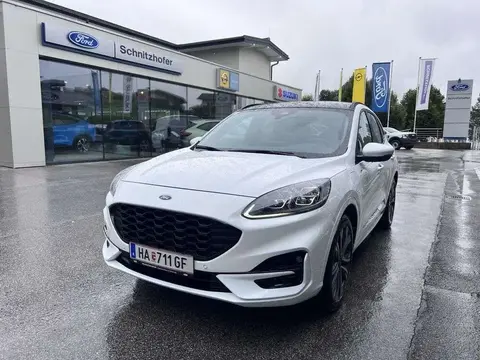 Annonce FORD KUGA Essence 2021 d'occasion 