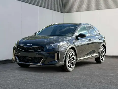 Annonce KIA XCEED Essence 2024 d'occasion 