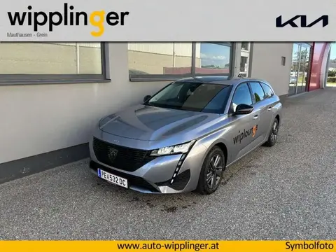 Annonce PEUGEOT 308 Essence 2024 d'occasion 