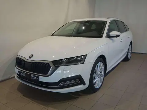 Annonce SKODA OCTAVIA Diesel 2023 d'occasion 