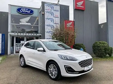 Annonce FORD KUGA Hybride 2021 d'occasion 