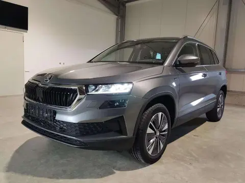 Annonce SKODA KAROQ Essence 2024 neuve 