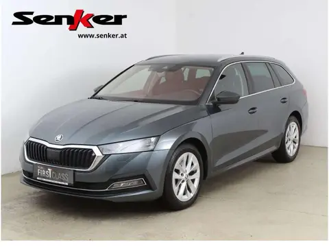 Annonce SKODA OCTAVIA Diesel 2020 d'occasion 