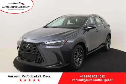 Annonce LEXUS NX Hybride 2024 d'occasion 