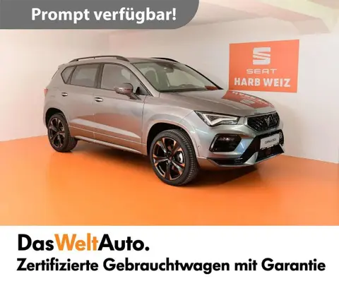 Annonce CUPRA ATECA Essence 2024 d'occasion 