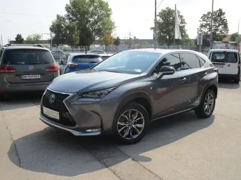 Used LEXUS NX Petrol 2015 Ad 