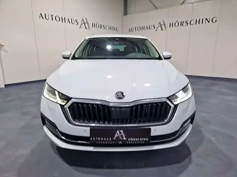 Annonce SKODA OCTAVIA Diesel 2021 d'occasion 