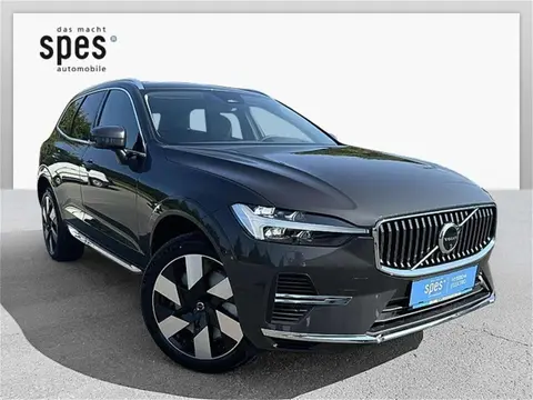 Used VOLVO XC60 Petrol 2024 Ad 