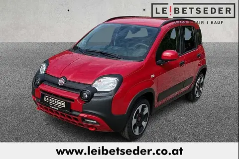 Annonce FIAT PANDA Essence 2024 d'occasion 