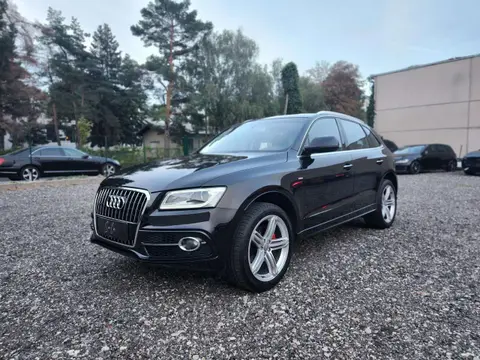 Used AUDI Q5 Diesel 2016 Ad 