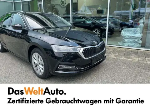 Annonce SKODA OCTAVIA Diesel 2024 d'occasion 