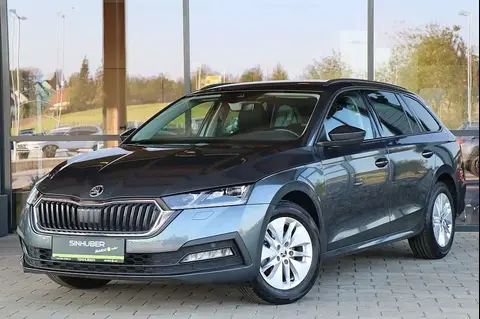 Annonce SKODA OCTAVIA Diesel 2020 d'occasion 