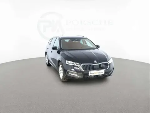 Used SKODA OCTAVIA Diesel 2022 Ad 