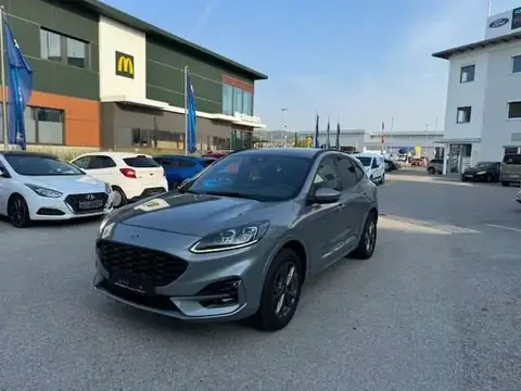 Annonce FORD KUGA Hybride 2022 d'occasion 