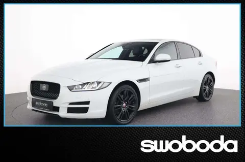 Used JAGUAR XE Diesel 2018 Ad 