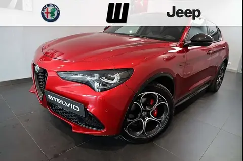 Used ALFA ROMEO STELVIO Diesel 2024 Ad 